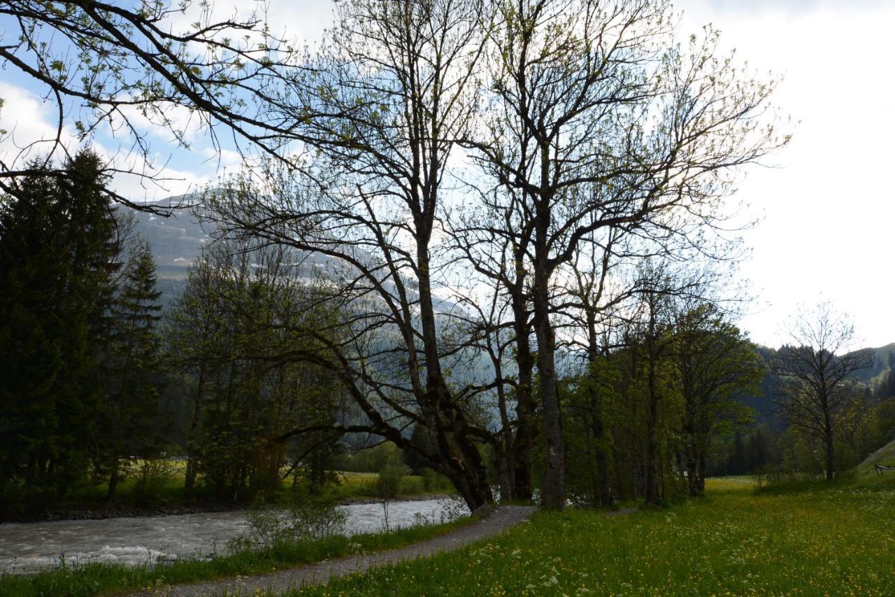 Pension Alpenblick Штег Экстерьер фото